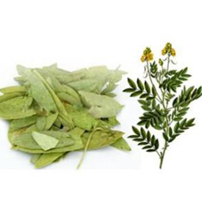 Extracto de hoja de sen