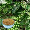Extracto de granos de café verde 