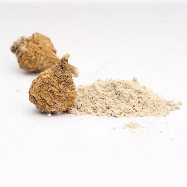 Extracto seco de raíz de maca
