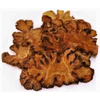 Chuanxiong rhizoma