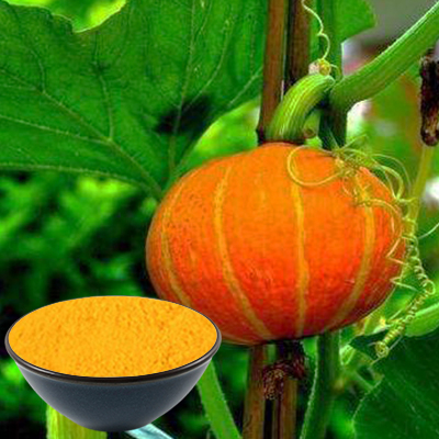 Polvo de calabaza