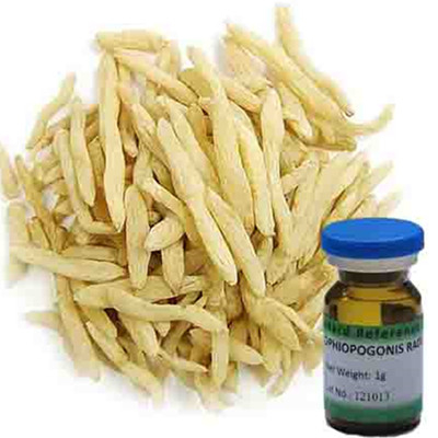 Ophiopogonis Radix