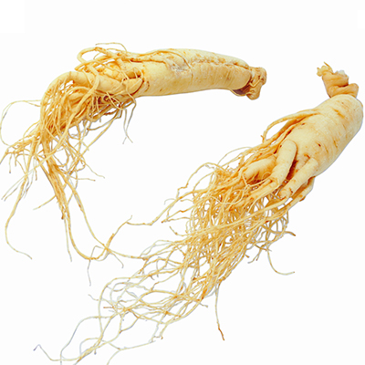 Extracto de ginseng