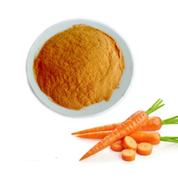 Polvo de zanahoria deshidratada