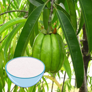 Chaga Extract Powder es un suplemento popular derivado del hongo Chaga, que es un tipo de hongo que crece en los abedules en climas fríos. Se ha utilizado en la medicina tradicional durante siglos debido a sus posibles beneficios para la salud. Extracto de chaga orgánico en polvo y orgánico