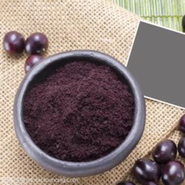 Polvo de liofilización de acai bayas